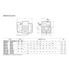 PEDROLLO PQm 61 periférikus szivattyú