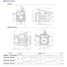 PEDROLLO PQ 81-Bs periférikus szivattyú