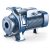 PEDROLLO F 100/250B Centrifugális monoblokk szivattyú 