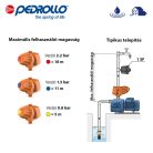 PEDROLLO EASYPRESS II 1,5 bar nyomásmérővel