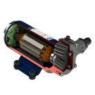 Olajszivattyú 8 l/perc 12V MARCO UP9