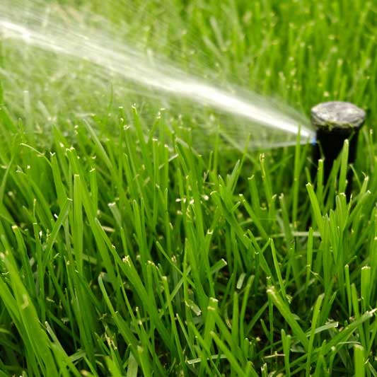 Automata öntözőrendszer vs. kézi locsolás – a szivattyú kiválasztásának valódi szempontja